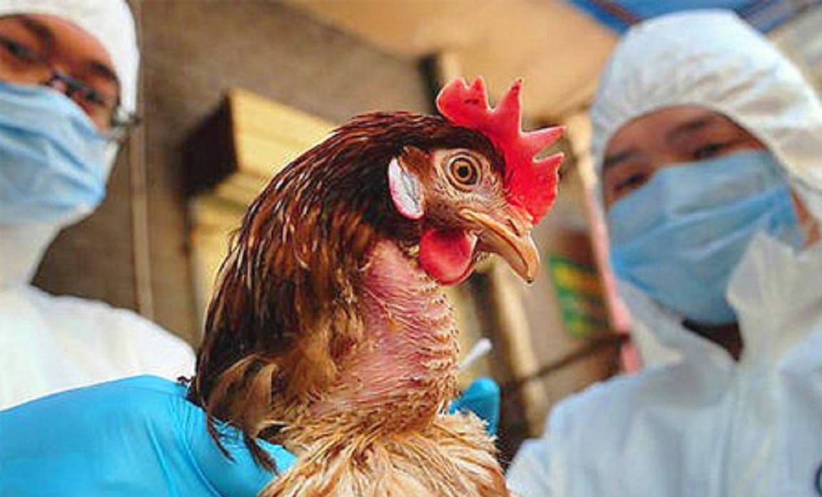 फाइल तस्बिर।